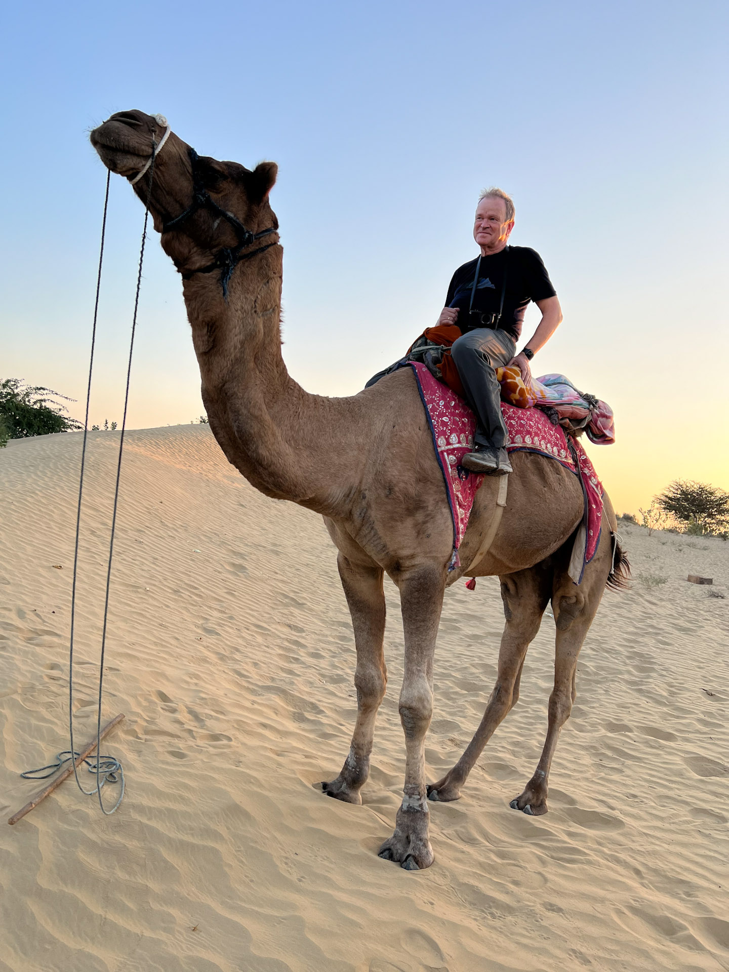 Düne mit Kamel