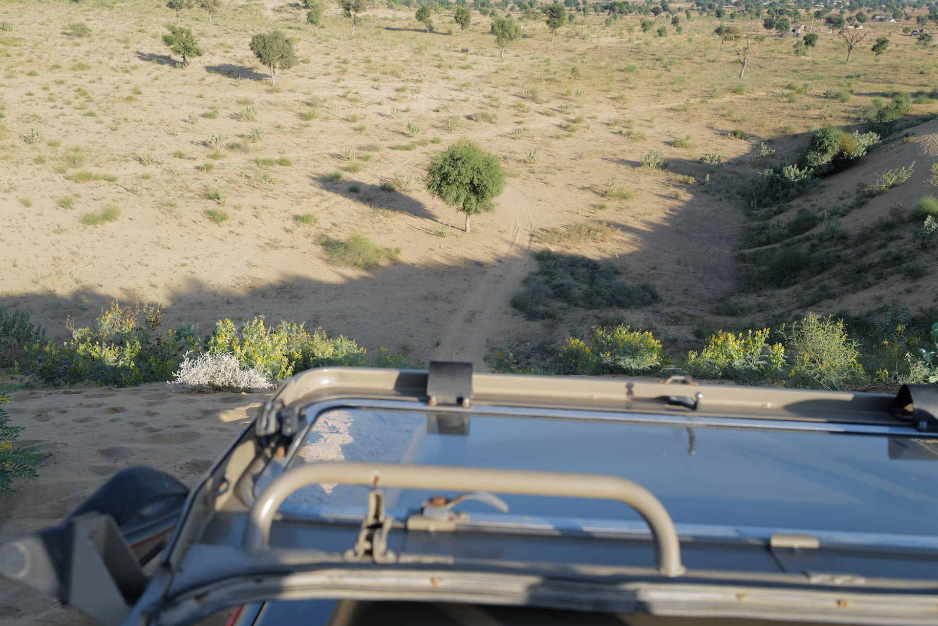 Dünen-Achterbahn mit Jeep